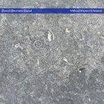 New album from Sound Becomes Signal